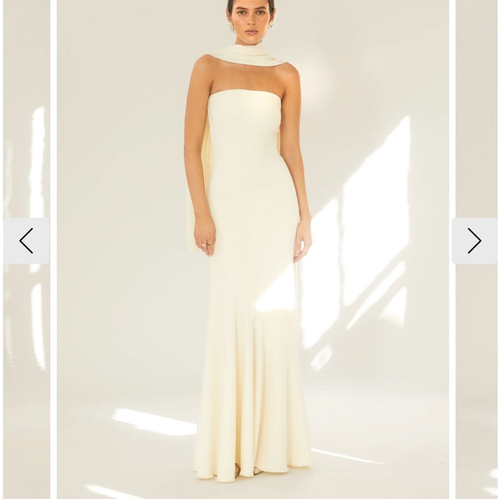 Brand new Arcina Ori Juliana dress